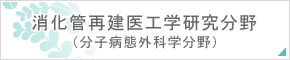 消化管再建医工学研究分野（分子病態外科学分野）