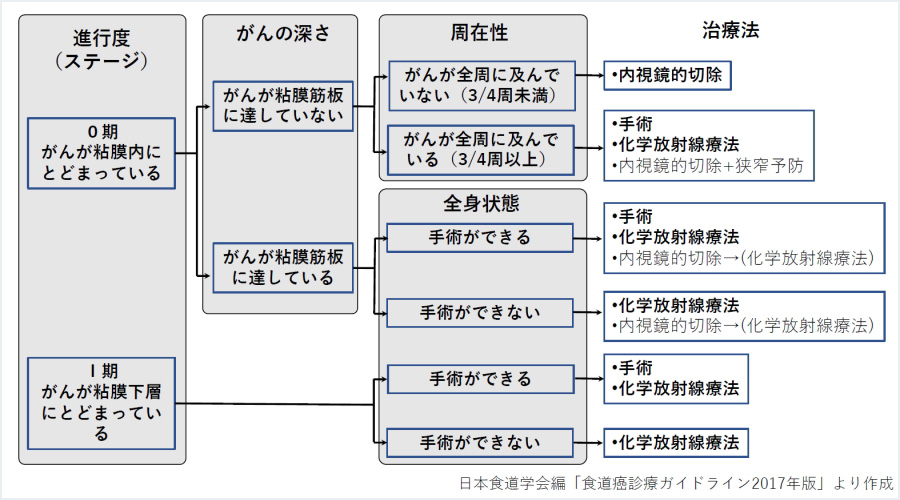 図4：食道がんの治療法の選択（0期・I期）