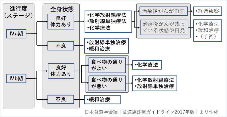図6：食道がんの治療法の選択（IVa期・IVb期）