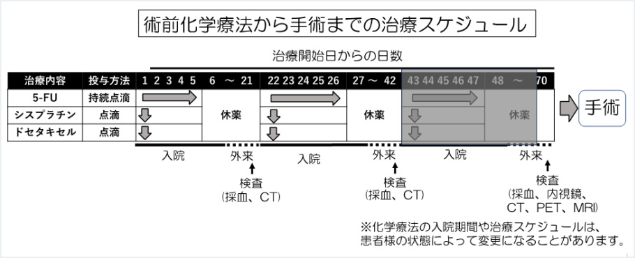 図8：術前化学療法から手術までの治療スケジュール