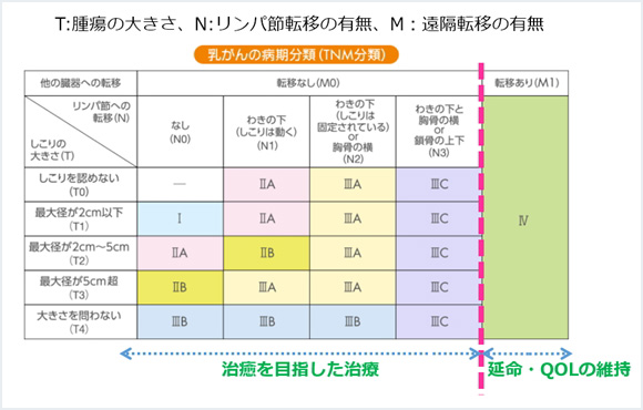 図6．がんの進行度（ステージ分類）