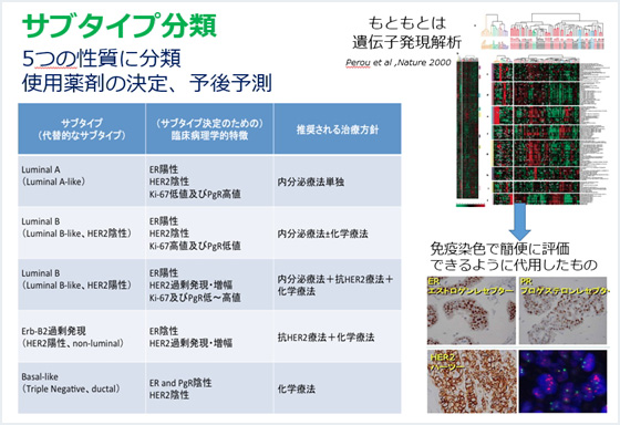 図7．サブタイプに基づく治療法選択